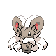 Cinccino