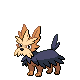 Herdier