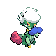Roserade