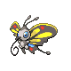 Beautifly (female)