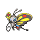 Beautifly (male)