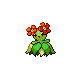 Bellossom