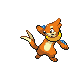 Buizel