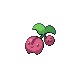 Cherubi