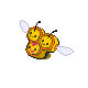 Combee (female)
