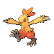 Combusken (female)
