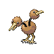 Doduo (male)