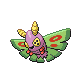 Dustox (female)