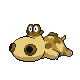Hippopotas (male)