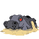 Hippowdon (female)