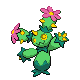 Maractus