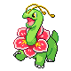 Meganium (male)