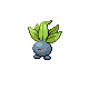 Oddish