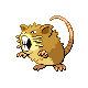 Raticate (female)