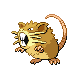 Raticate (male)