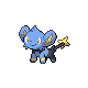Shinx (female)