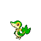 Snivy