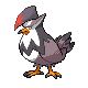 Staraptor (male)