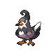 Staravia (male)