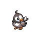 Starly (female)