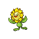 Sunflora