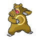 Ursaring (female)