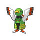 Xatu (male)